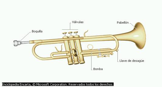 Trompeta de latón Instrumento de Viento Musical con Conjunto de Herramientas auxiliares Azul Neufday Instrumento de Viento Profesional Trompeta de latón